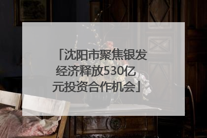 沈阳市聚焦银发经济释放530亿元投资合作机会